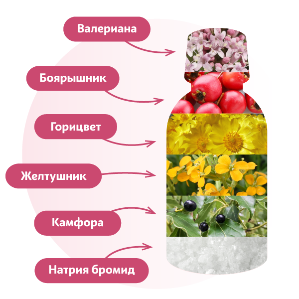 состав-кардиовалена