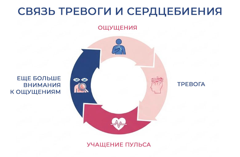 связь-тревоги-и-сердцебиения связь-тревоги-и-сердцебиения.jpg