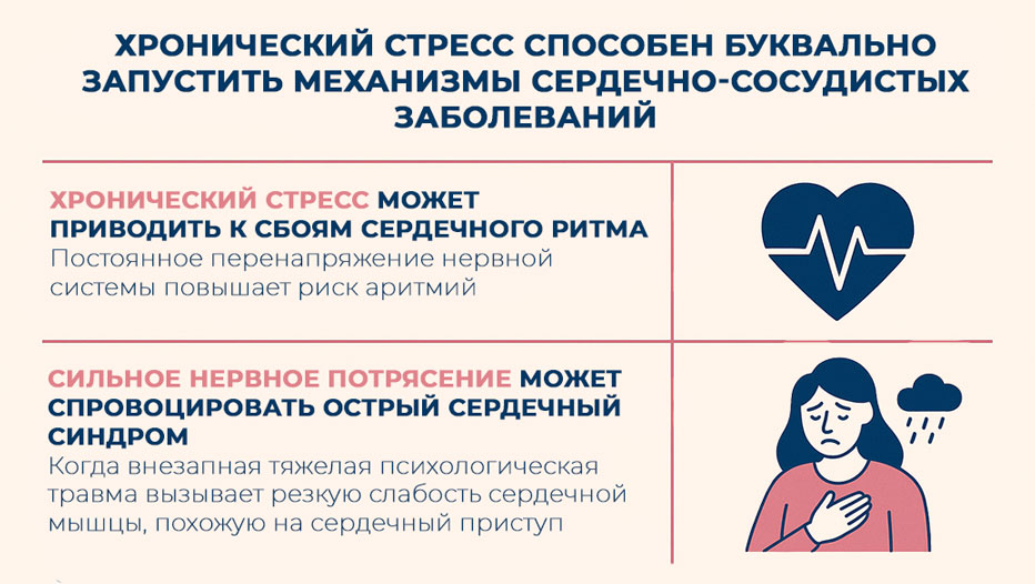 избыток-кортизола-и-адреналина-провоцирует-воспалительные-реакции-и-спазм-артери под-воздействием-стресса-страдают-сердце-и-сосуды