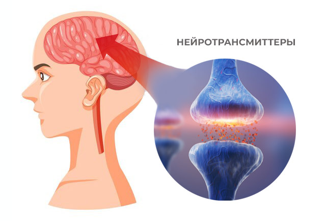 нейротрансмиттеры-и-нервная-система