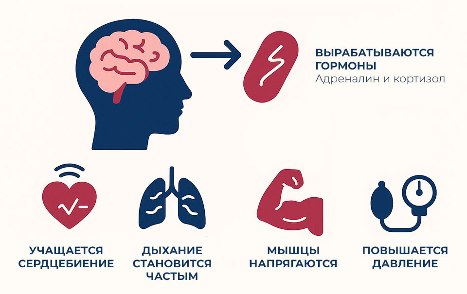 механизмы-запускающиеся-в-момент-тревоги механизмы-запускающиеся-в-момент-тревоги