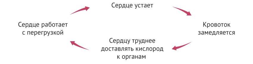 сердцу-становится-трудно-прокачивать-кровь замкнутый-круг-хронической-сердечной-недостаточности